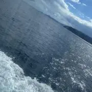 あとむの画像