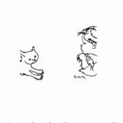 さくらの画像