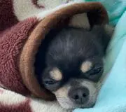 y.r.hの画像