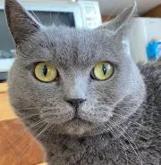 rumiちんの画像