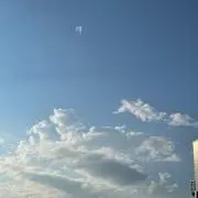 ウォンキーの画像