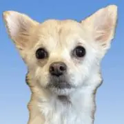 @kの画像