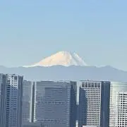 ヤスの画像