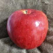 たくです。の画像