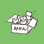空き箱にゃー