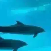 ef-arl⭐︎発送土日のみの画像