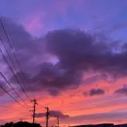 みかんの画像