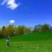 ☆しろクマ☆の画像