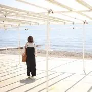 みーの画像