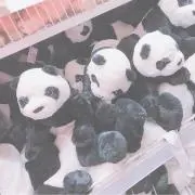 みさぴょん