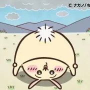 琥珀の画像