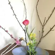 おがの画像