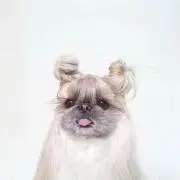 muiの画像