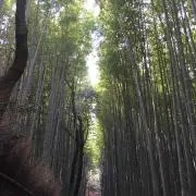 くわっち