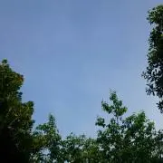 ねねね