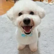 みの画像