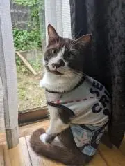 ちい