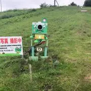Yuの画像