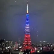 satieの画像