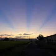 のとと※自己紹介文をご確認ください。の画像