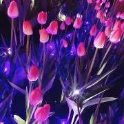 あんず♡プロフィール必読の画像