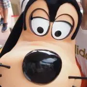 きょこの画像