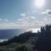 YUYUの画像