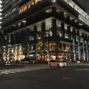 もりもり