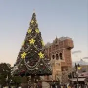 にゃん