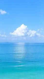 Sの画像