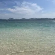 3310ෆ̈の画像