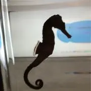 Mimuronの画像