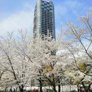 Aaoの画像