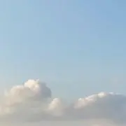 ちーたん