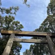まいまい