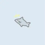 サメっの画像