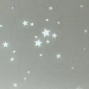 めろの画像