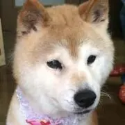 じんさんの画像