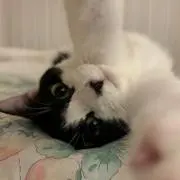 masa7の画像