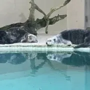 mikiiの画像