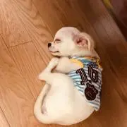 みー
