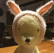 いちご