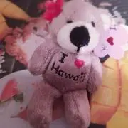 ここ