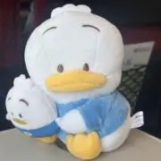 そるとの画像