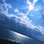L♡【早い者勝ち！値下げ交換可！】の画像