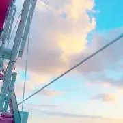 森のくまさんの画像