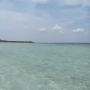 カンヌの画像