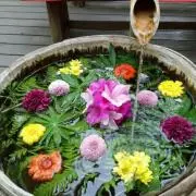おけらっち