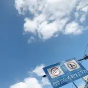 ちゃマの画像