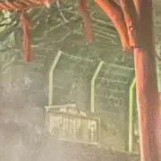 古着屋　〜アキラ氏〜の画像
